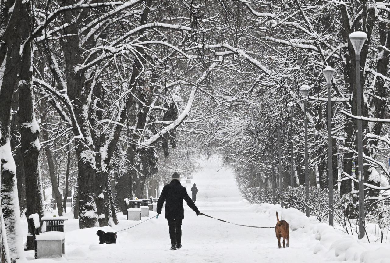 В Москву придет зима