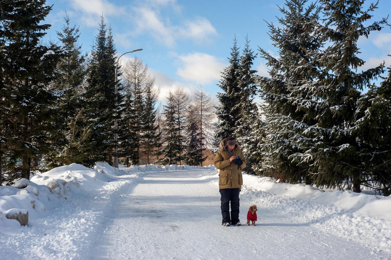 Названа дата наступления метеорологической зимы в Москве