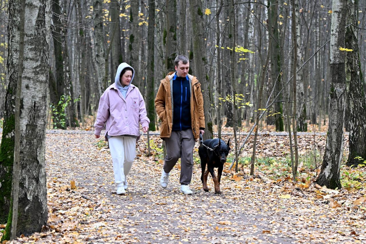 Россияне рассказали о способах побороть осеннюю хандру