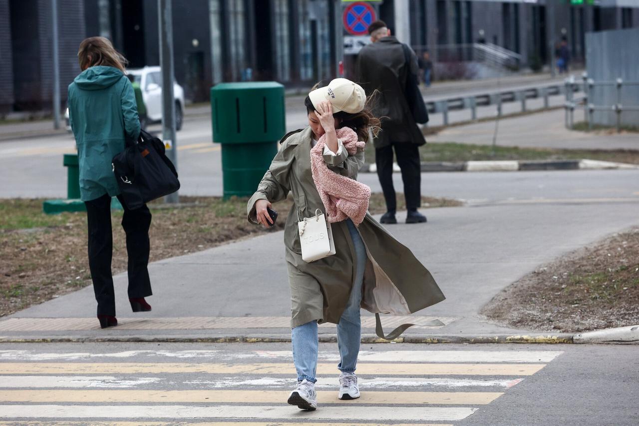 Москвичей предупредили о сильном ветре в пятницу