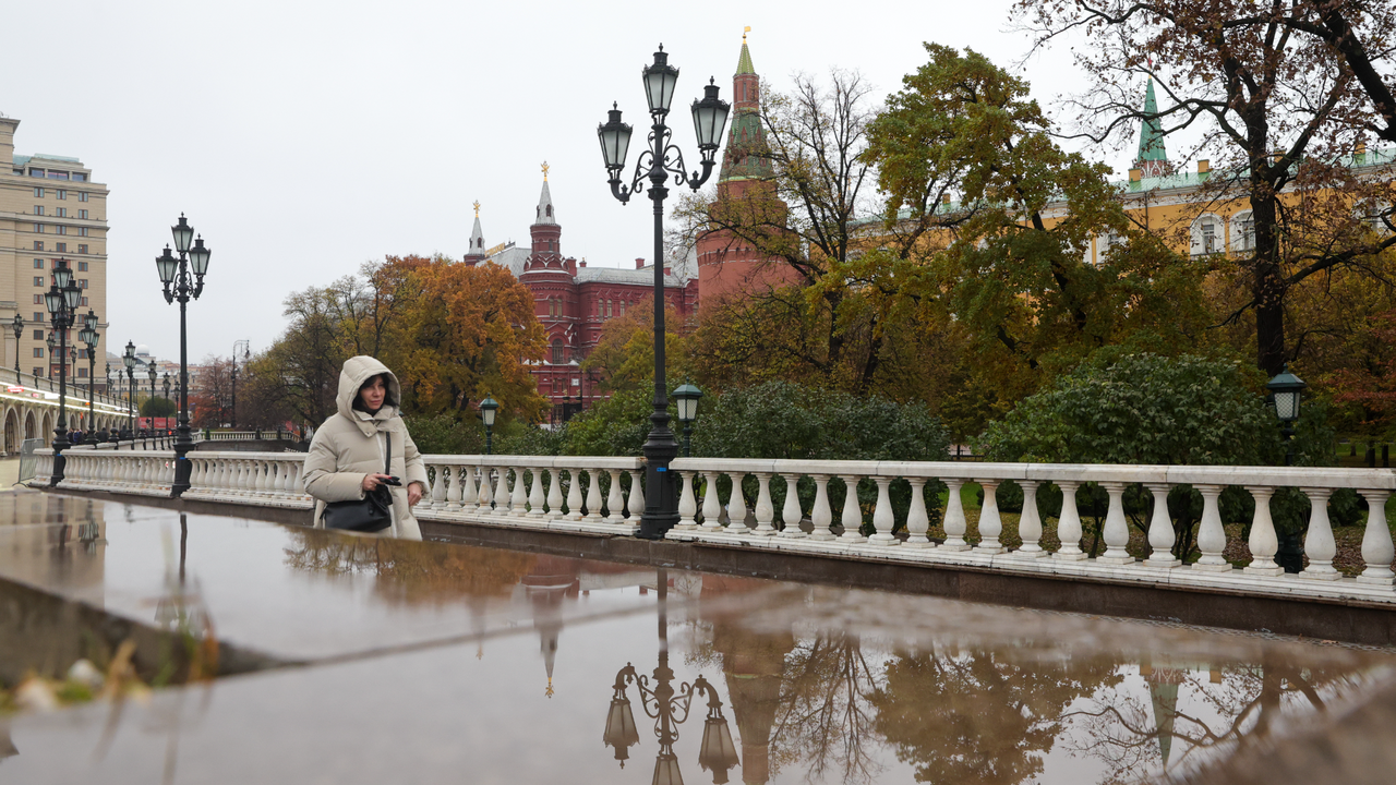 В Москве и Подмосковье выпал первый снег