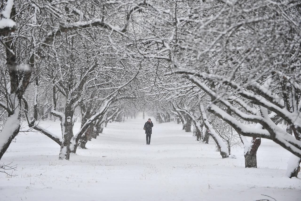 Москвичей предупредили о надвигающемся мощном снежном циклоне