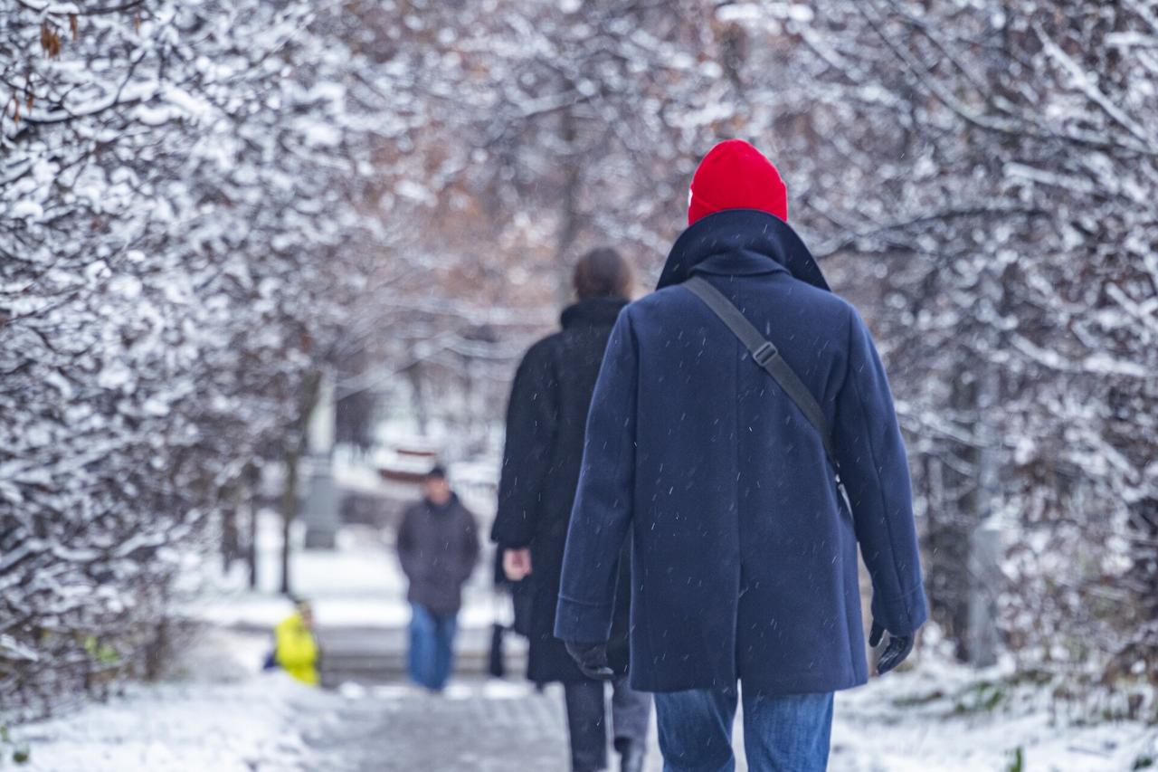 Москвичам назвали дату восстановления снежного покрова в городе