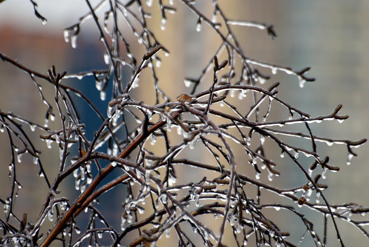 Москвичей предупредили о ледяном дожде