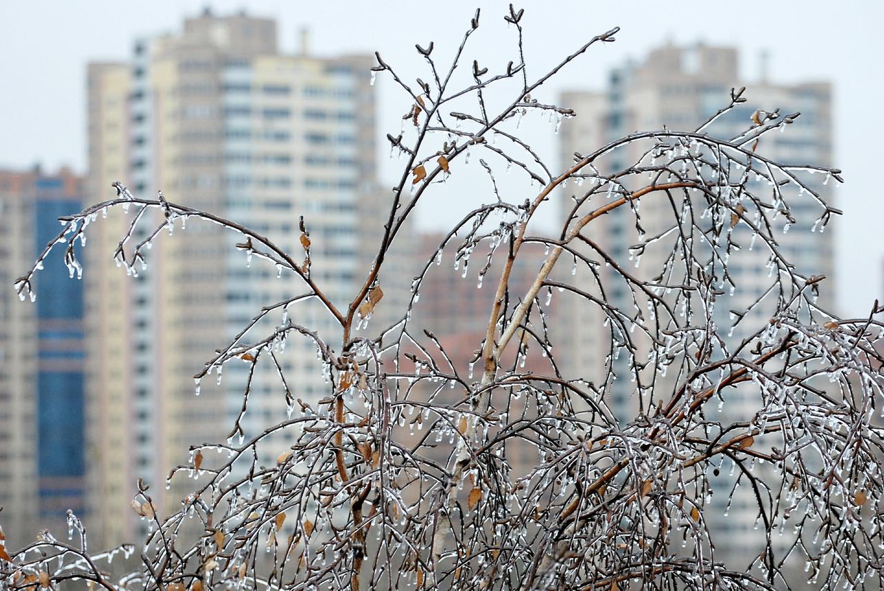 Москвичей предупредили о гололедице