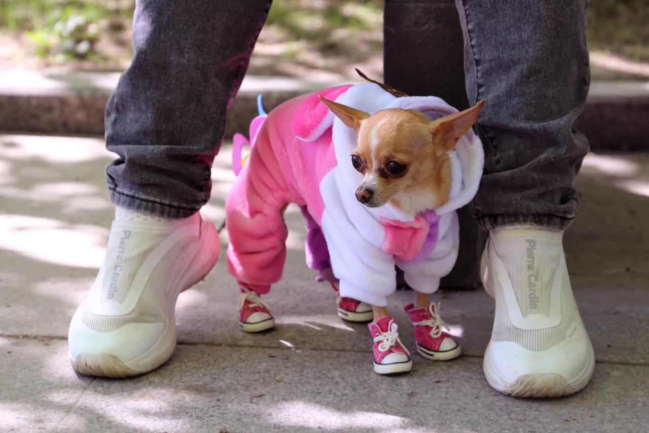 Жителям больших городов назвали легкий способ снять стресс