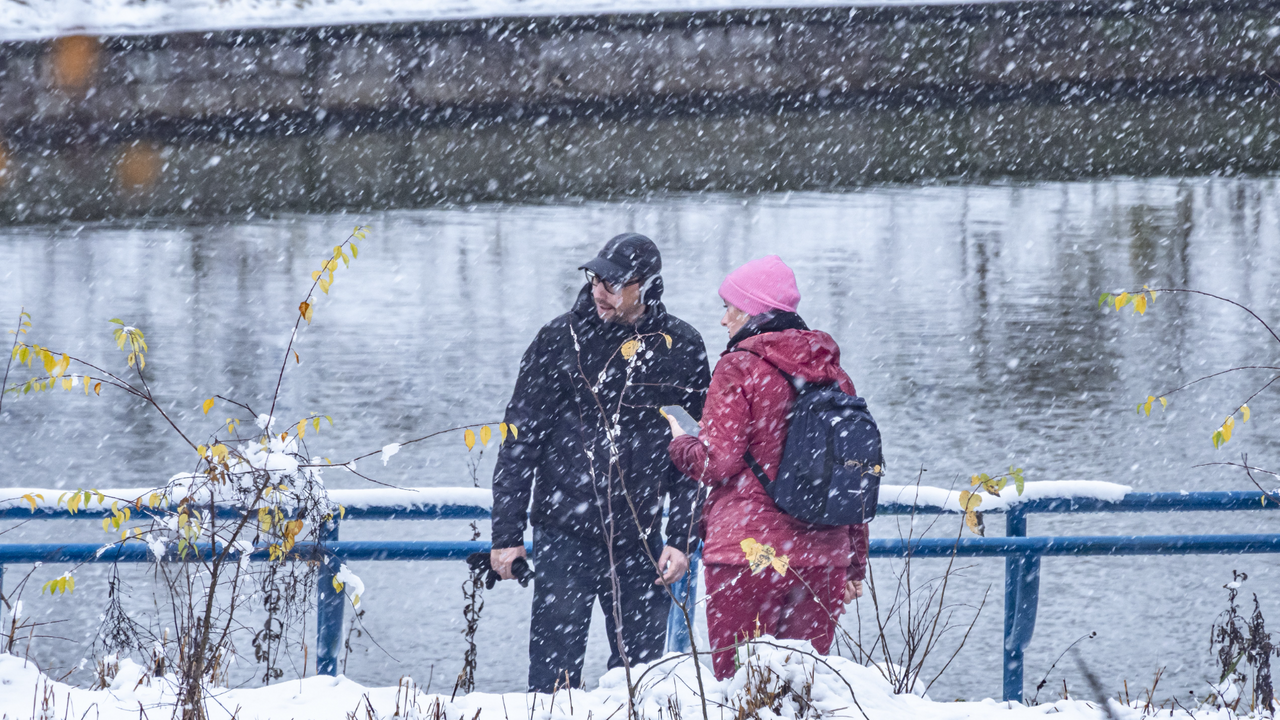 Жителей Москвы призвали пересесть на общественный транспорт из-за непогоды