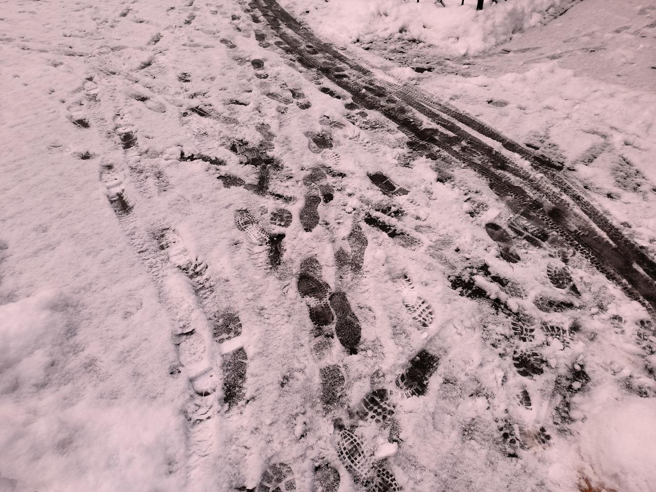 Москва останется без снега как минимум до середины декабря