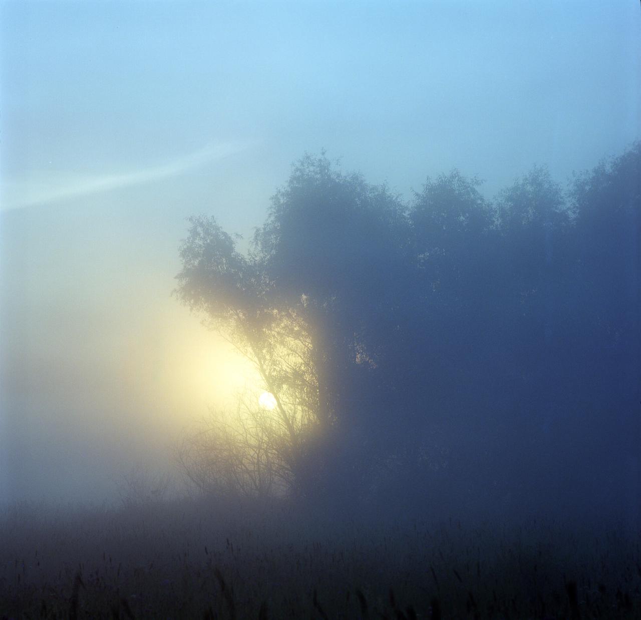 В Москве и Подмосковье объявили «желтый» уровень погодной опасности