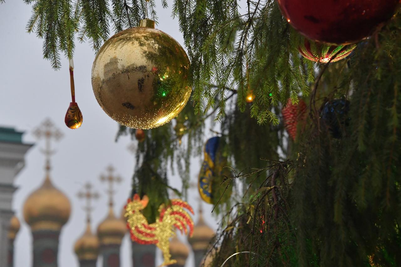 Главную новогоднюю ель страны привезут в Кремль 10 декабря