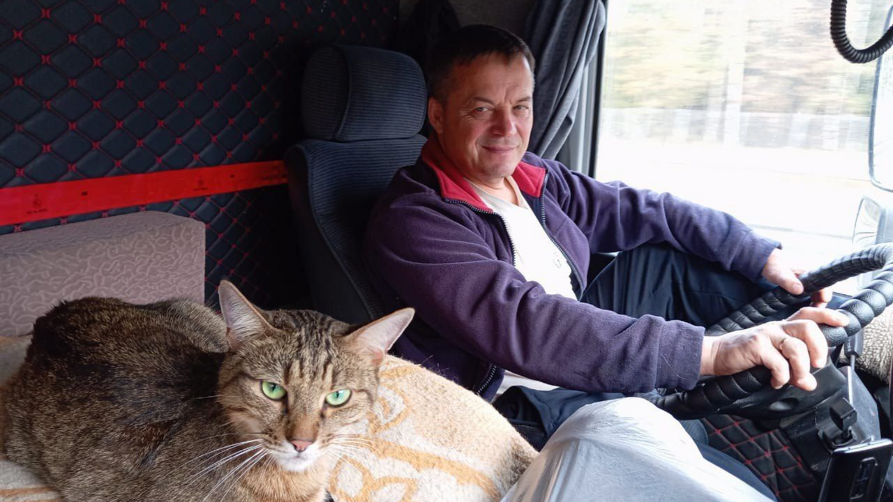 Потерявшегося в поезде кота Федоса из Москвы нашли на Дальнем Востоке