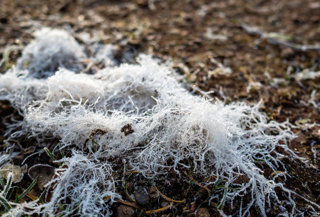 Архивное фото