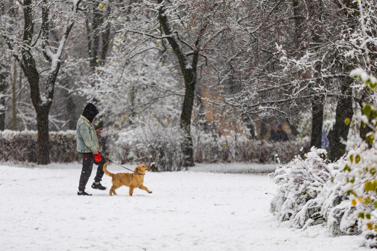 Москвичам назвали дату появления снега