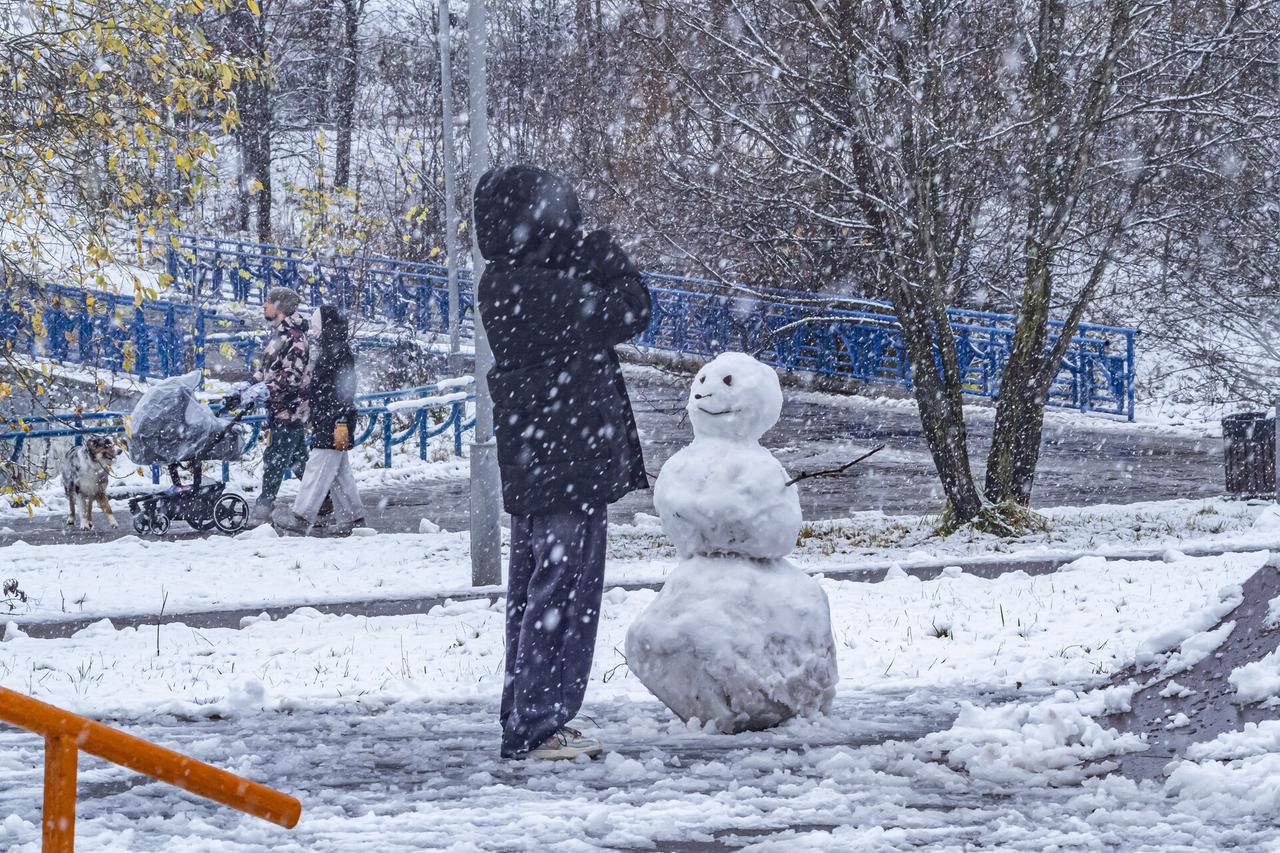 Москвичам посоветовали не ждать полноценной зимы в ближайшее время