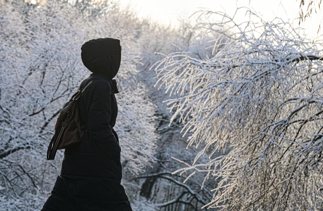 Москвичам предсказали морозные и снежные выходные