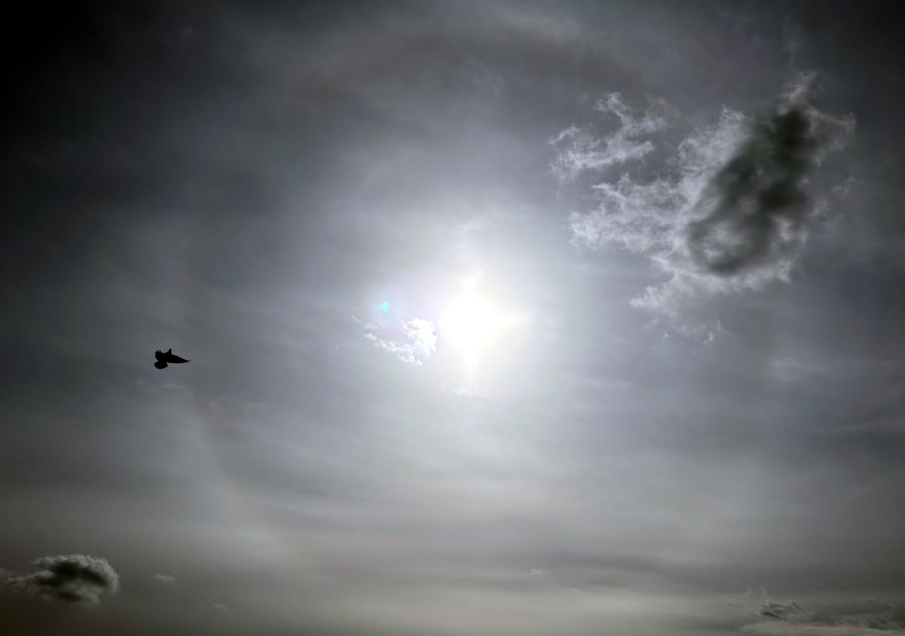 В Подмосковье заметили редкое оптическое явление из-за мороза