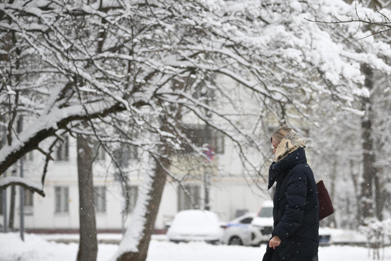 Москвичам пообещали возвращение снега к Новому году