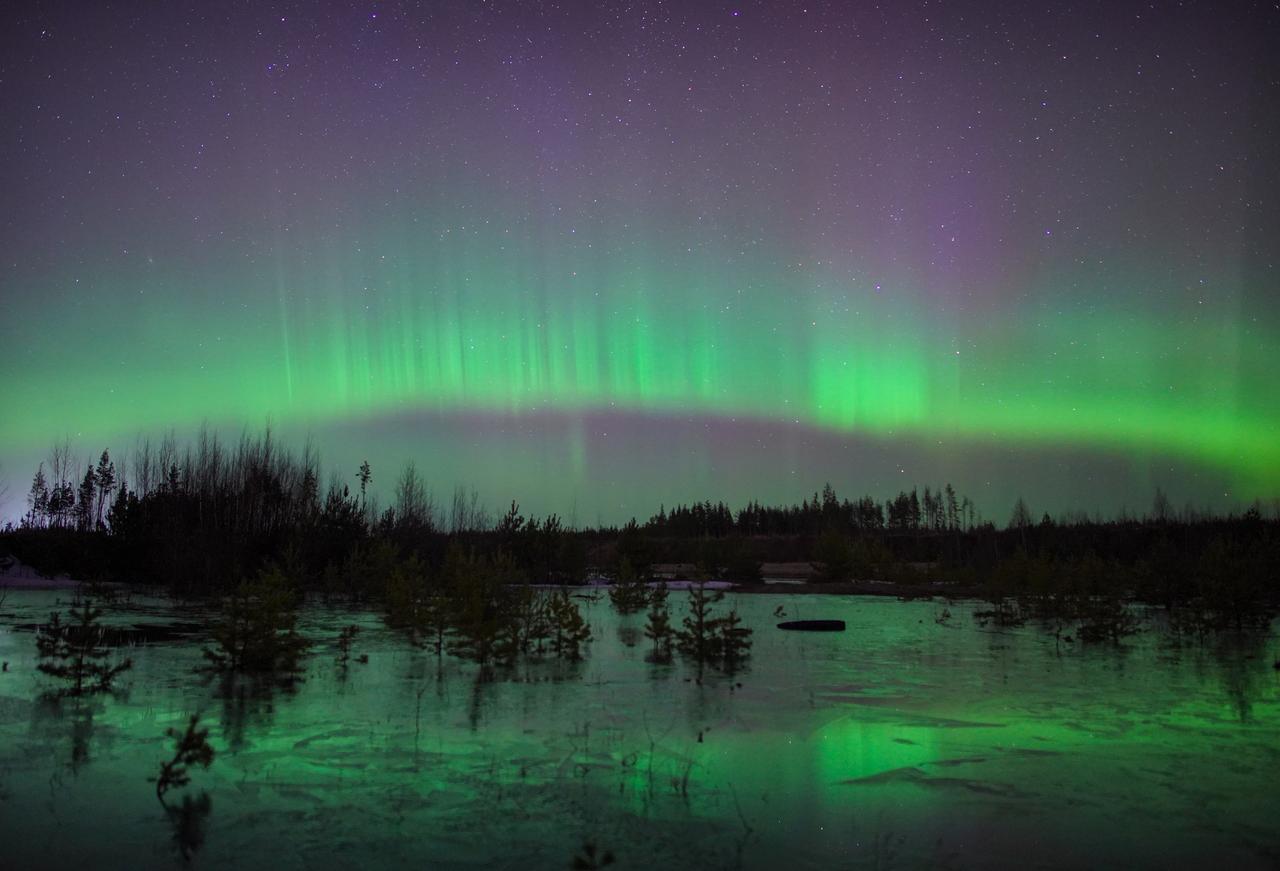 Оценена вероятность северного сияния в Москве в новогоднюю ночь