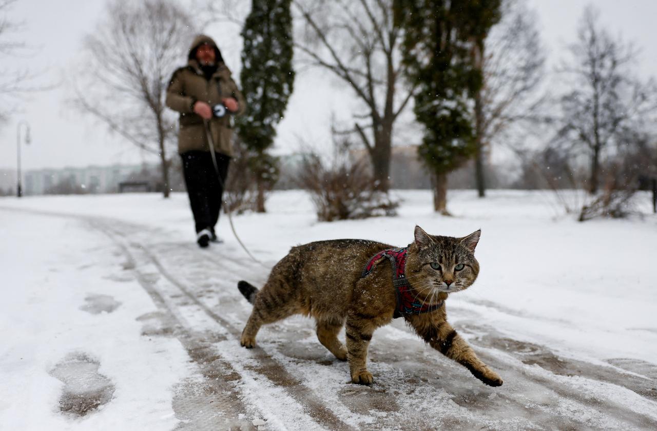 Раскрыта продолжительность снегопада в Москве и Подмосковье