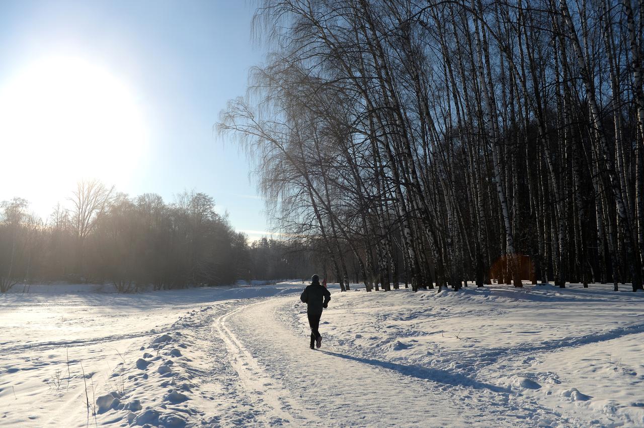 В Москве подготовили более 700 километров лыжных трасс
