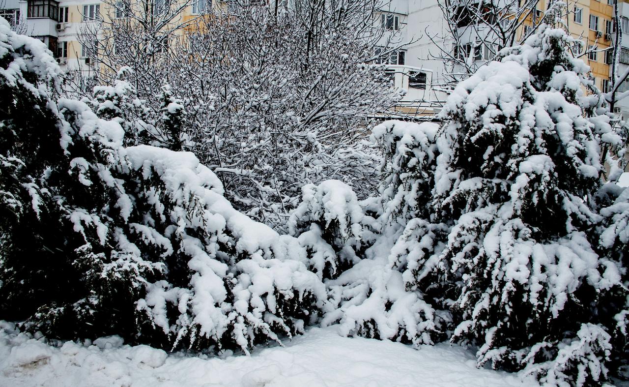 Москвичей предупредили о «настоящем снежном армагеддоне»