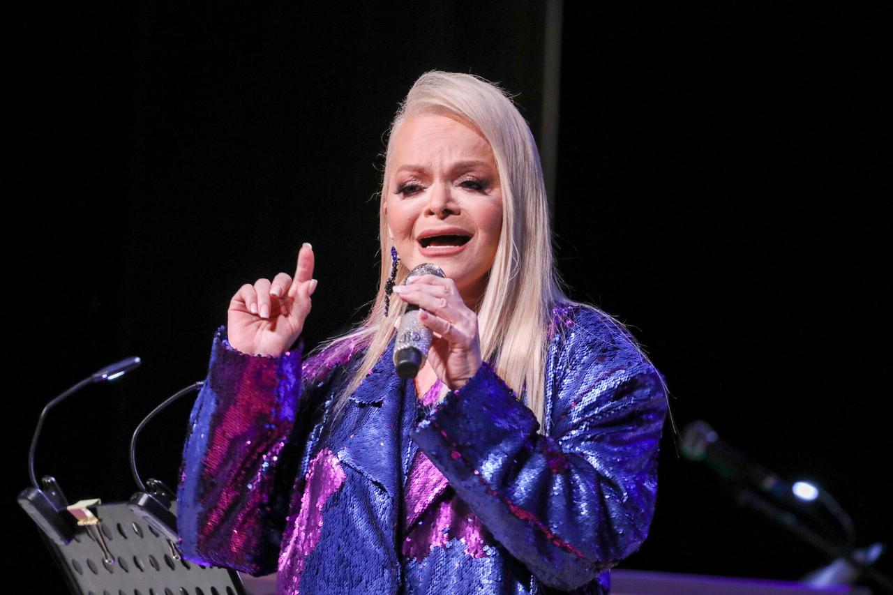 На первый в новом году концерт Долиной продали только 20 процентов билетов