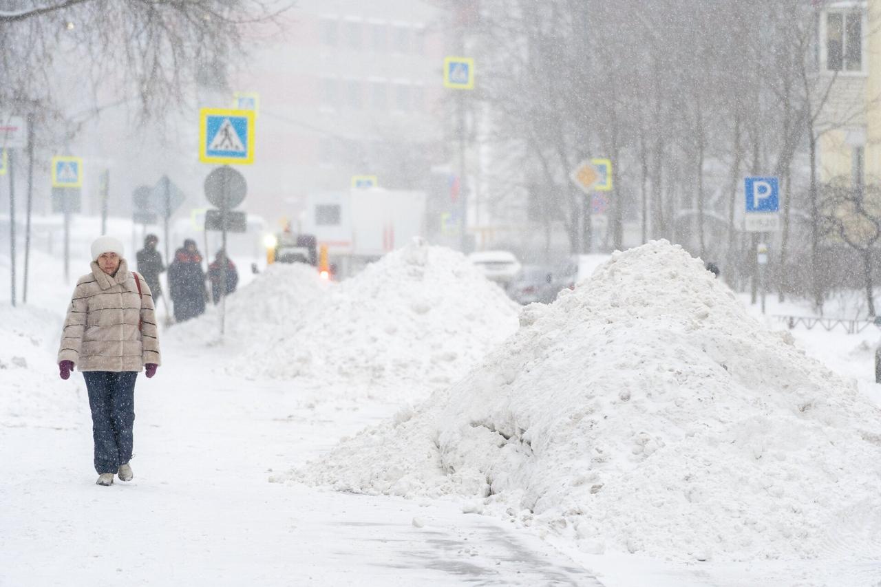 Москвичам предрекли арктические морозы