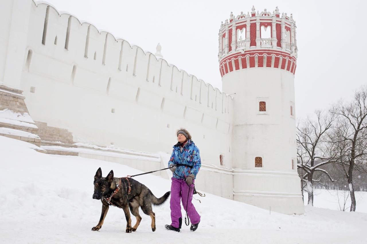 Москвичей предупредили об арктическом вторжении