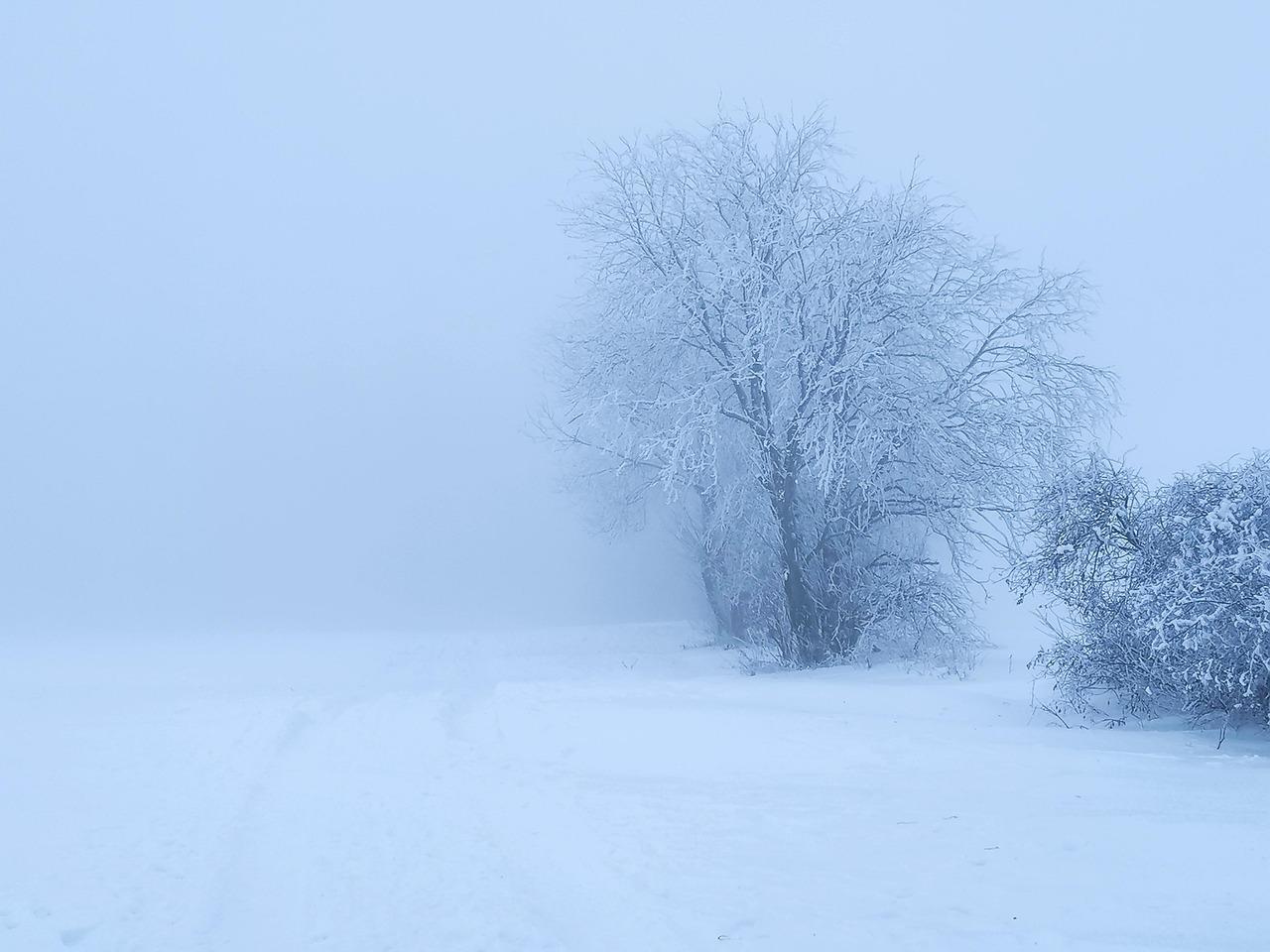 Москвичей предупредили о тумане на фоне сильных морозов