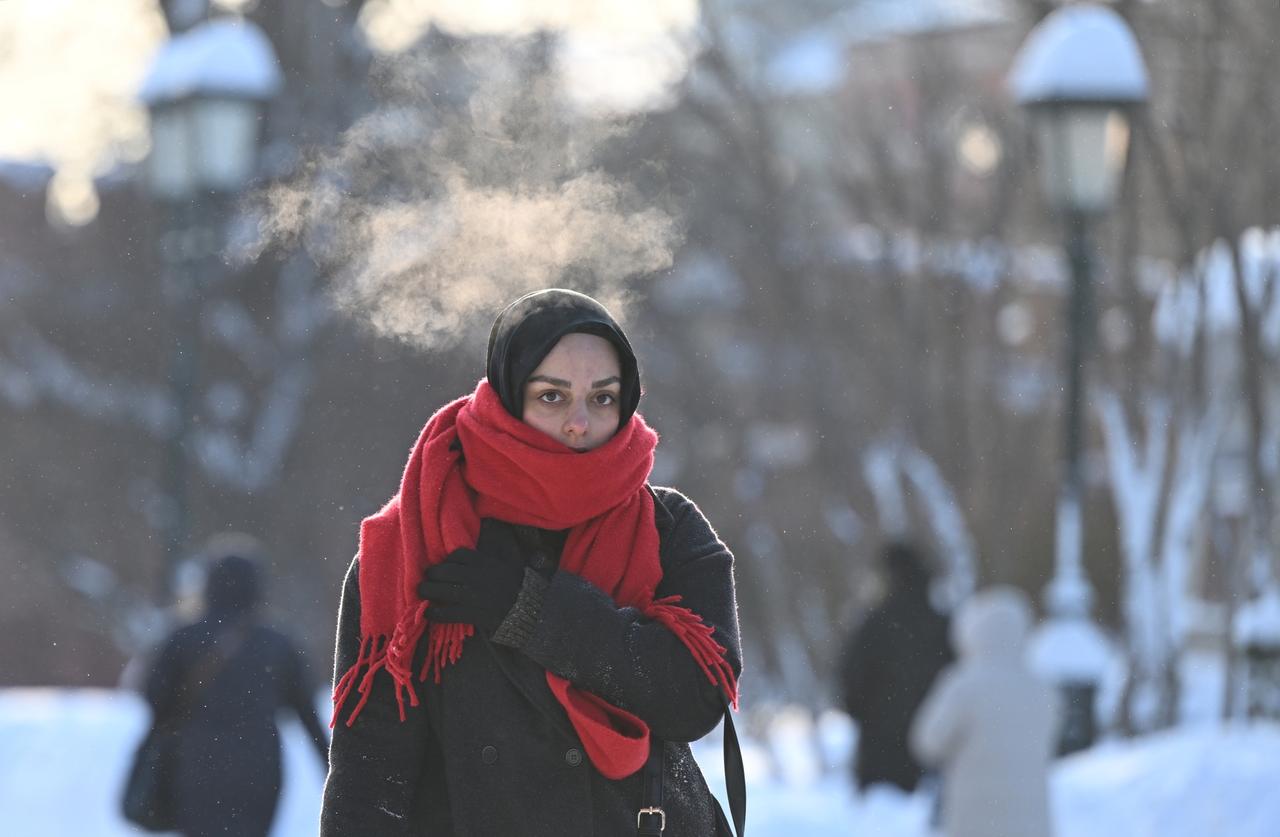 Москвичам назвали срок возвращения морозов после оттепели