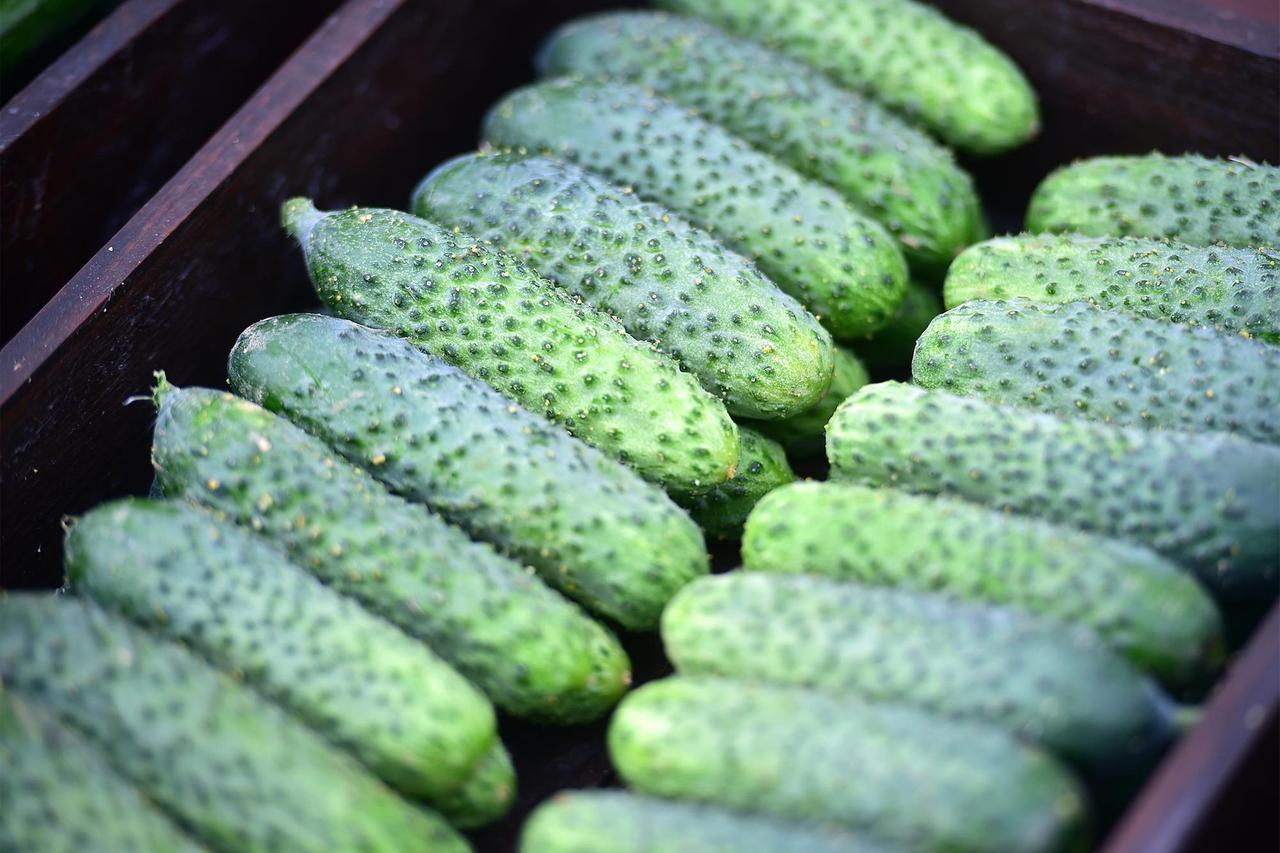 Москвич собрал необычный букет для возлюбленной и удивил пользователей сети