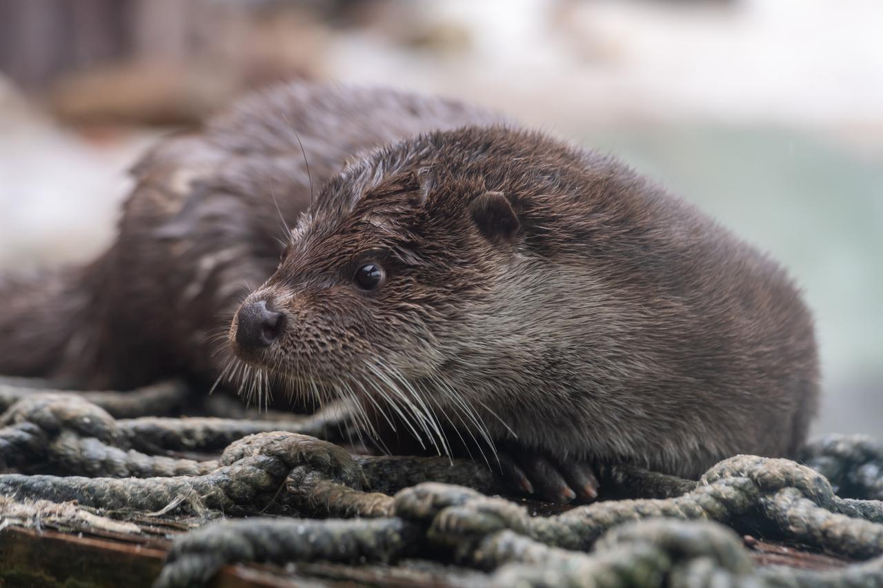 Архивное фото