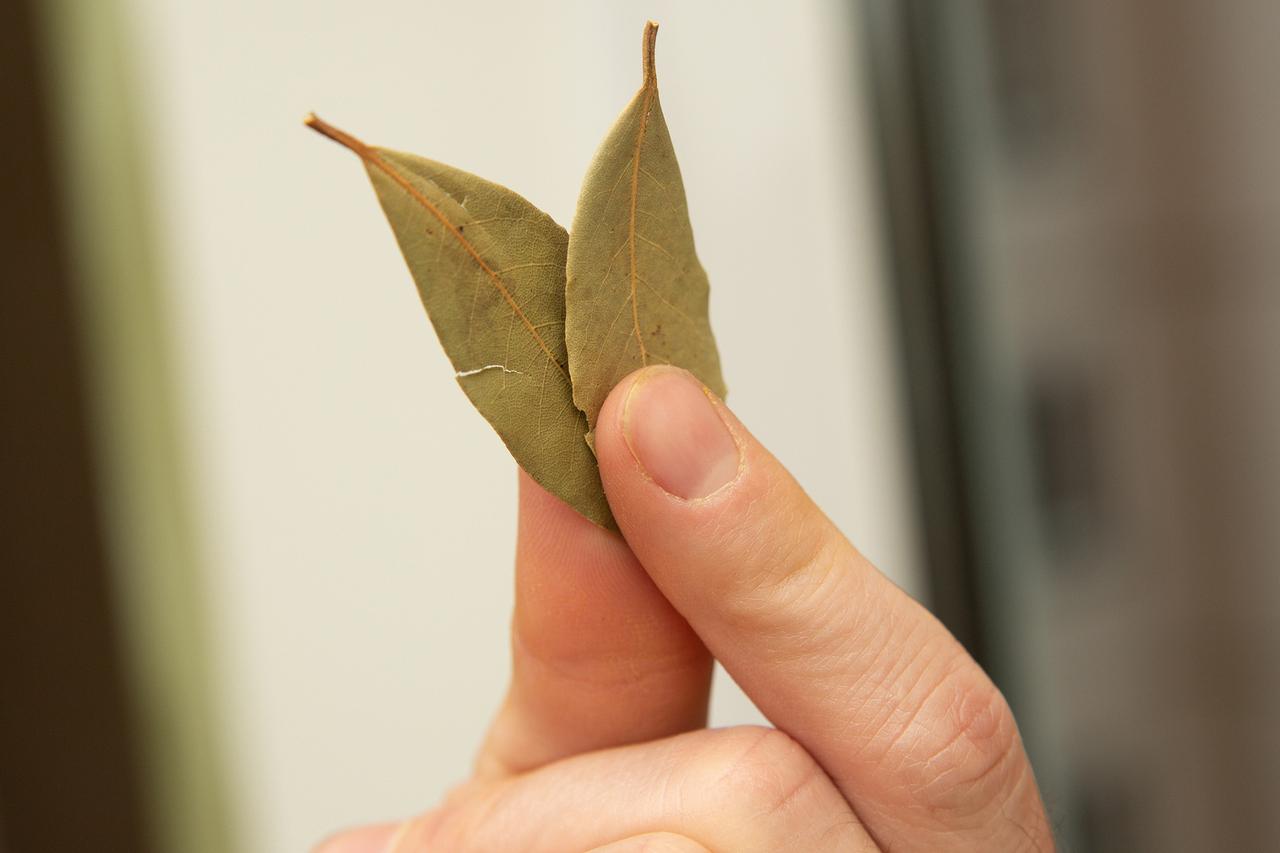 Москвичка выиграла миллионы рублей благодаря лавровому листу