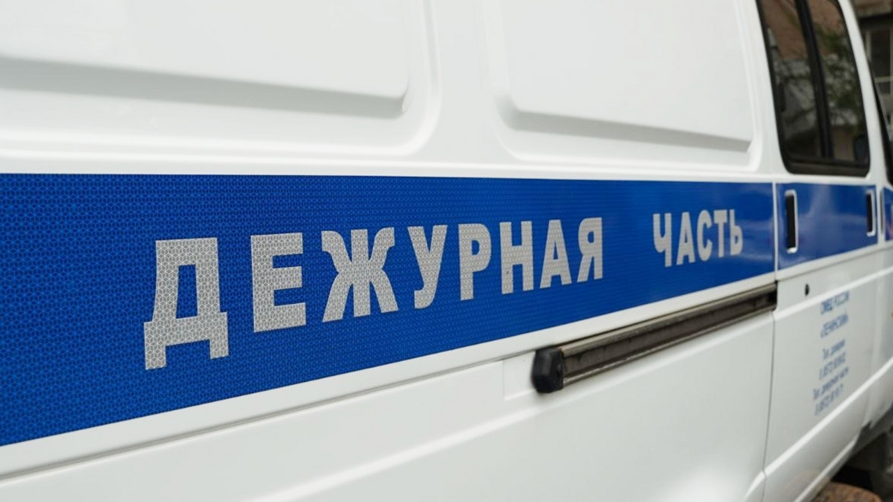 В Москве задержали хозяйку напавшего на ребенка питбультерьера