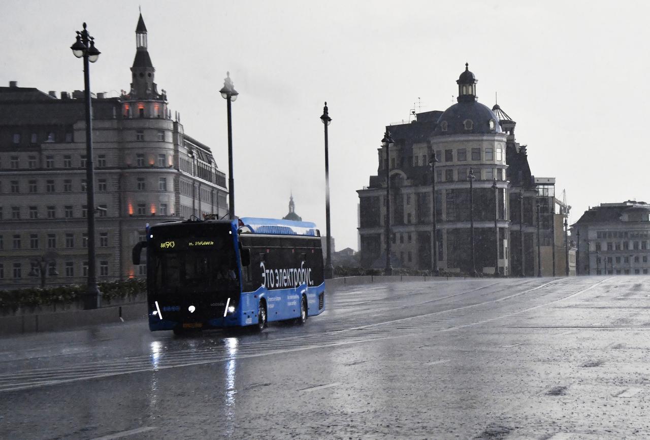 Названы самые необычные забытые в подмосковных автобусах вещи