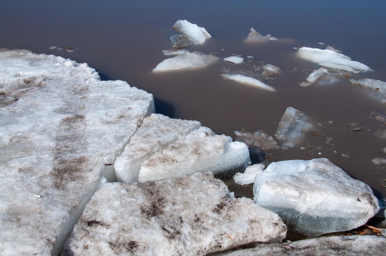 В Москве спасли провалившихся под лед детей