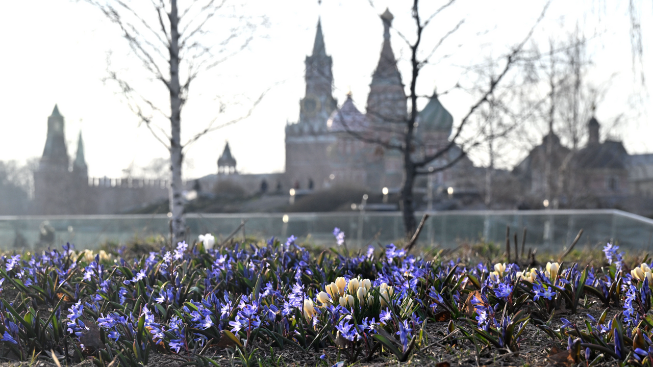Синоптик предупредил москвичей о небольших дождях в Москве
