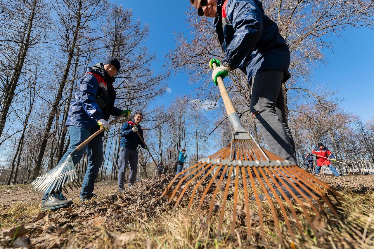 Жителей Подмосковья пригласили на субботник в компании искусственного интеллекта