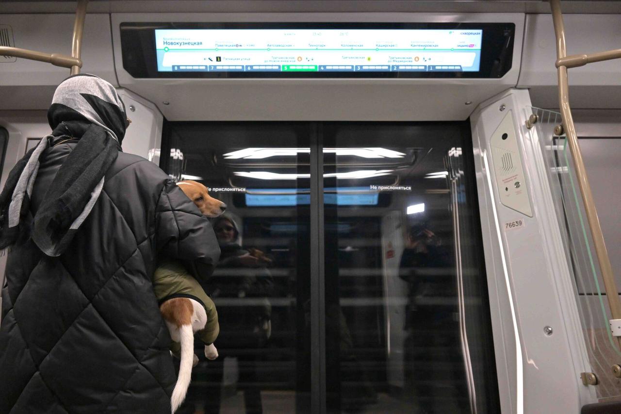 На московских собак призвали надеть бахилы при одном условии