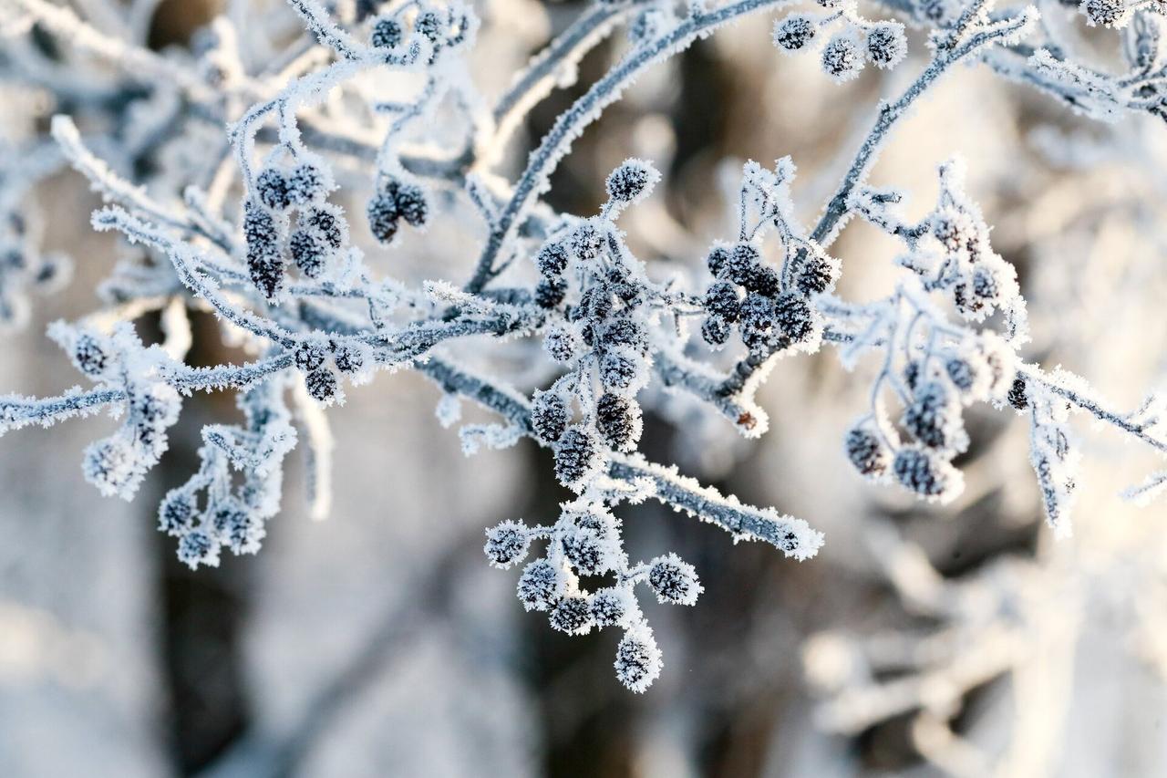 Москвичей предупредили о возвращении снега