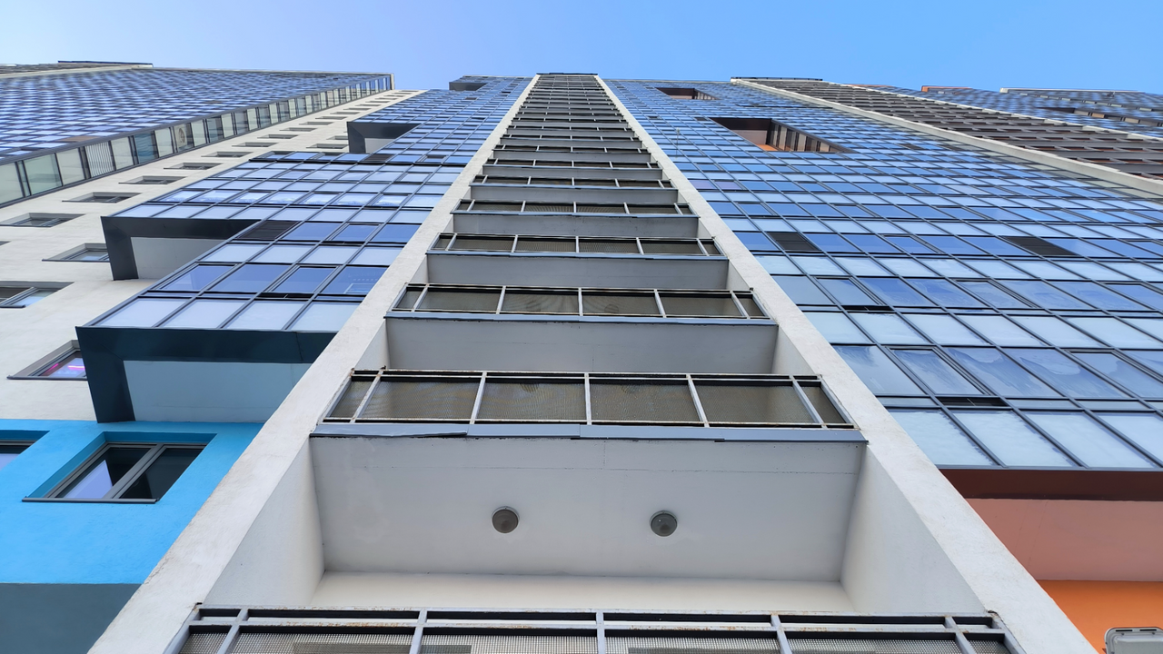 В Подмосковье 20 котов заперли свою хозяйку на балконе