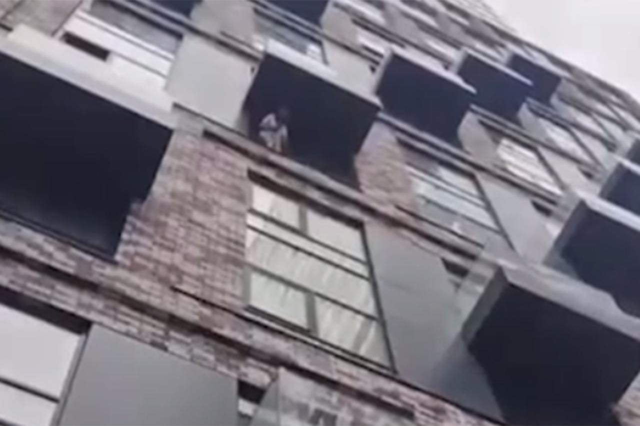 Москвичка из-за нервного срыва выбросила из окна собаку