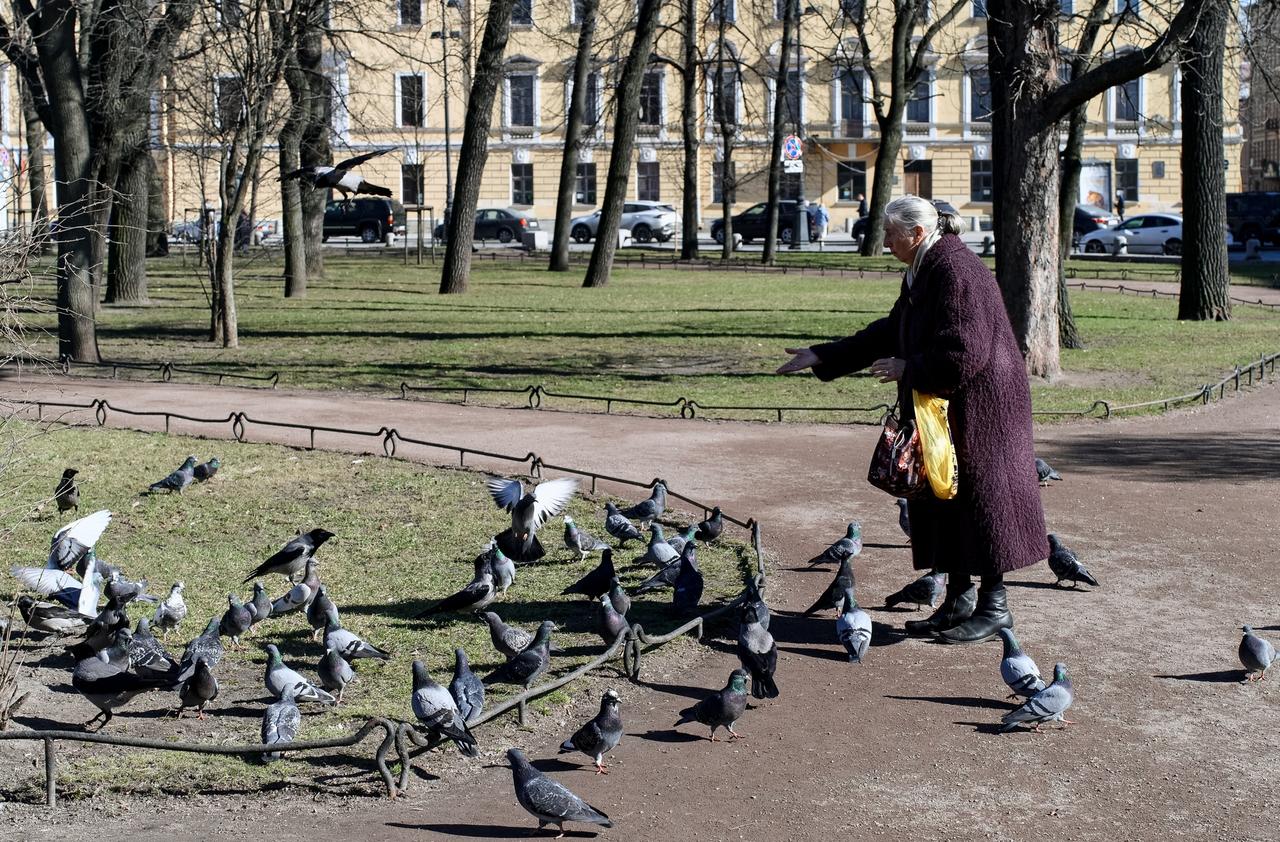 Москвичей попросили перестать подкармливать птиц