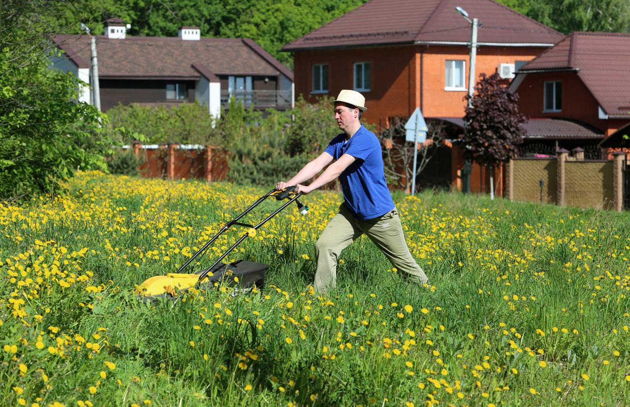 Подмосковных дачников предупредили о штрафе за нескошенную траву на участке