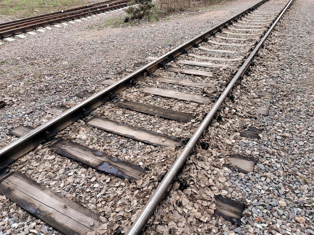 Человек на путях остановил поезд на станции Водники