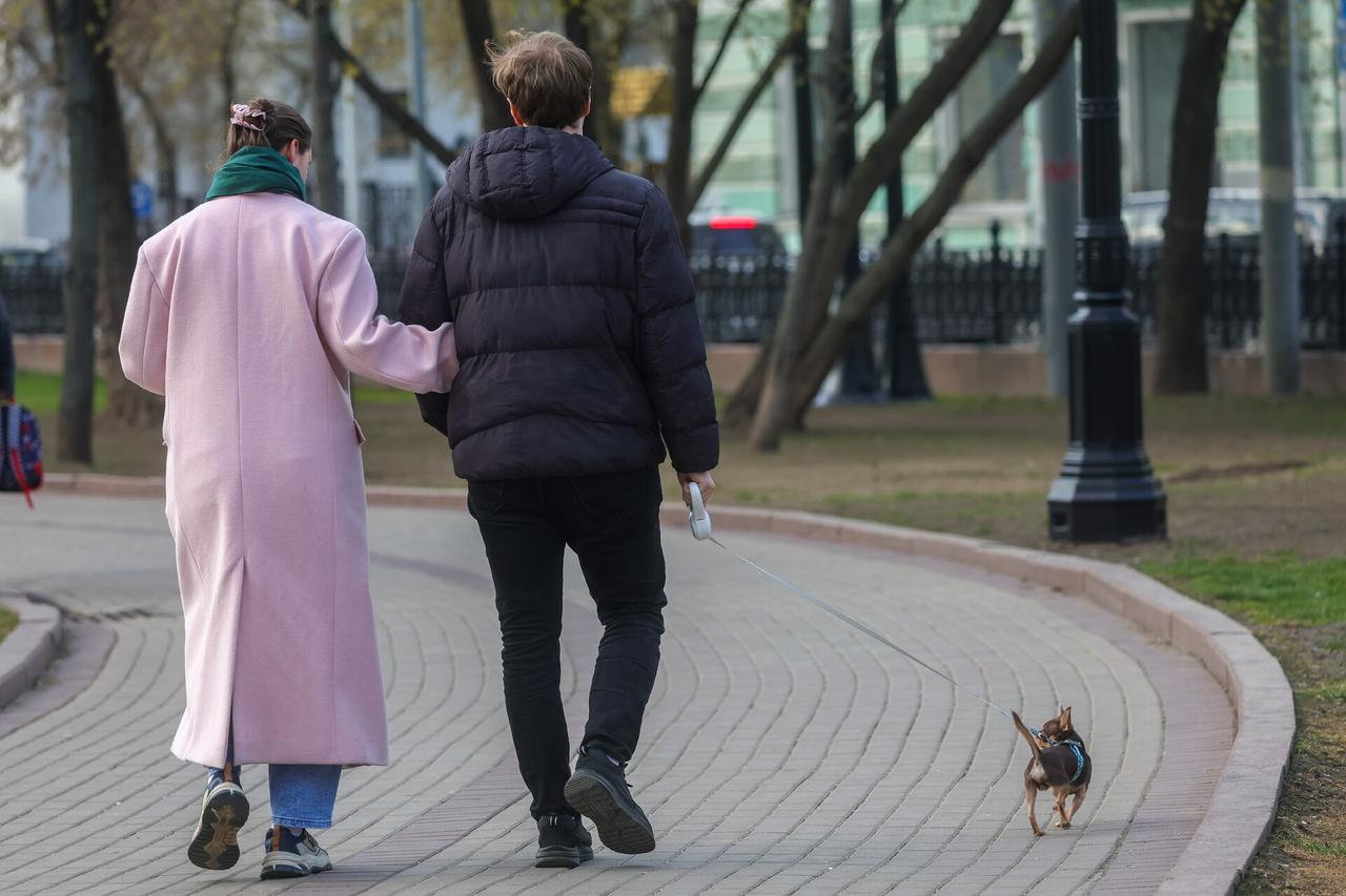 Жителям Московского региона пообещали потепление