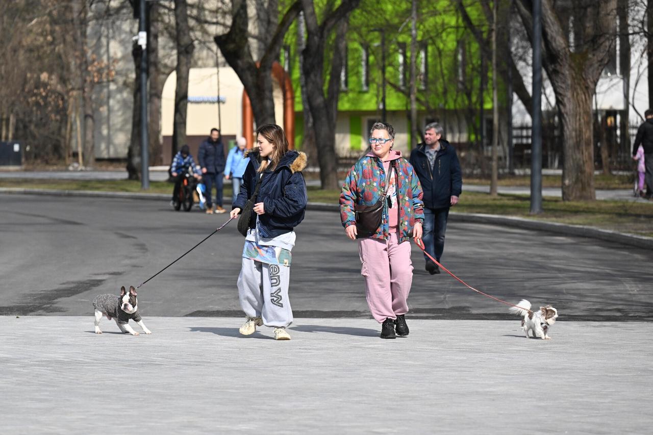 Москвичам пообещали возвращение тепла на один день