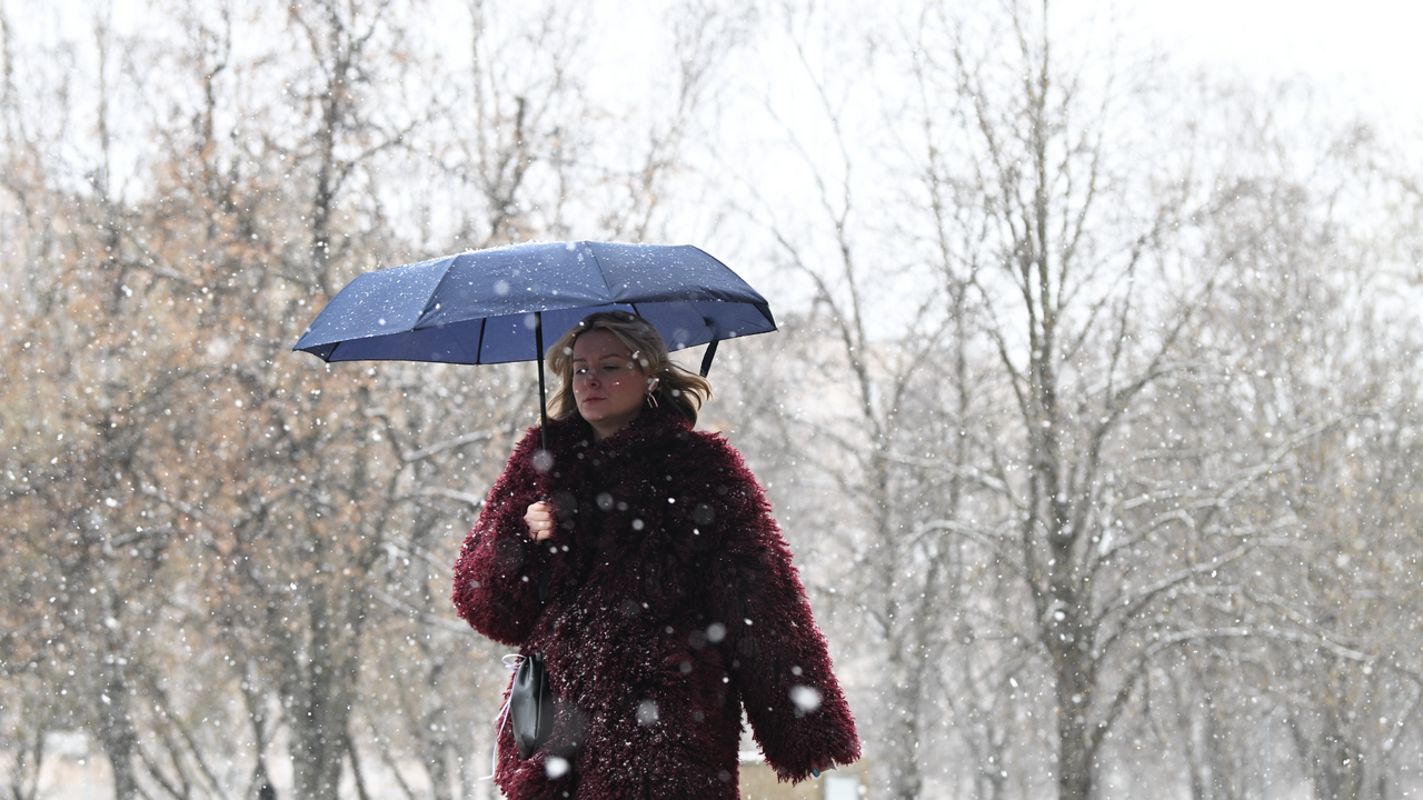 Синоптики спрогнозировали порывистый ветер и мокрый снег в Москве