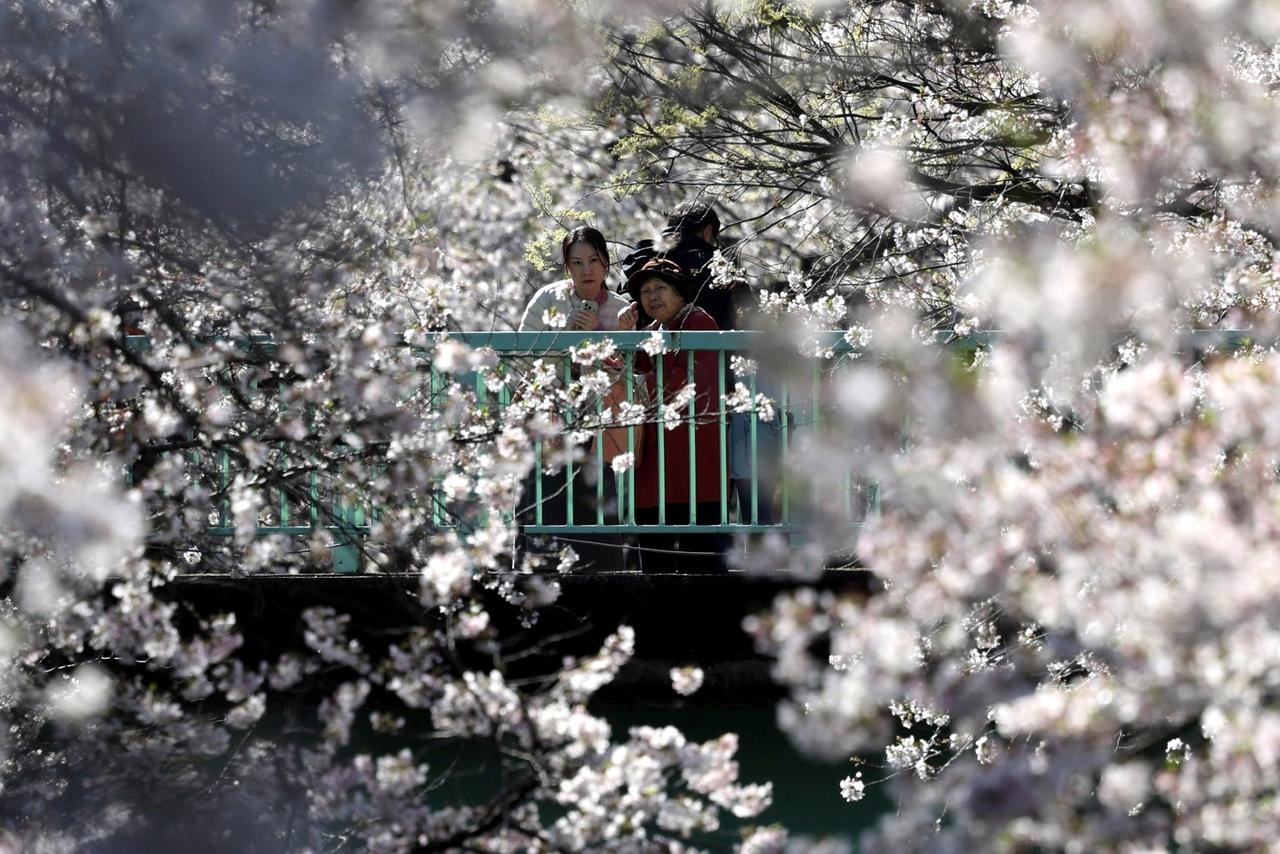 Получить японскую визу в Москве стало сложнее