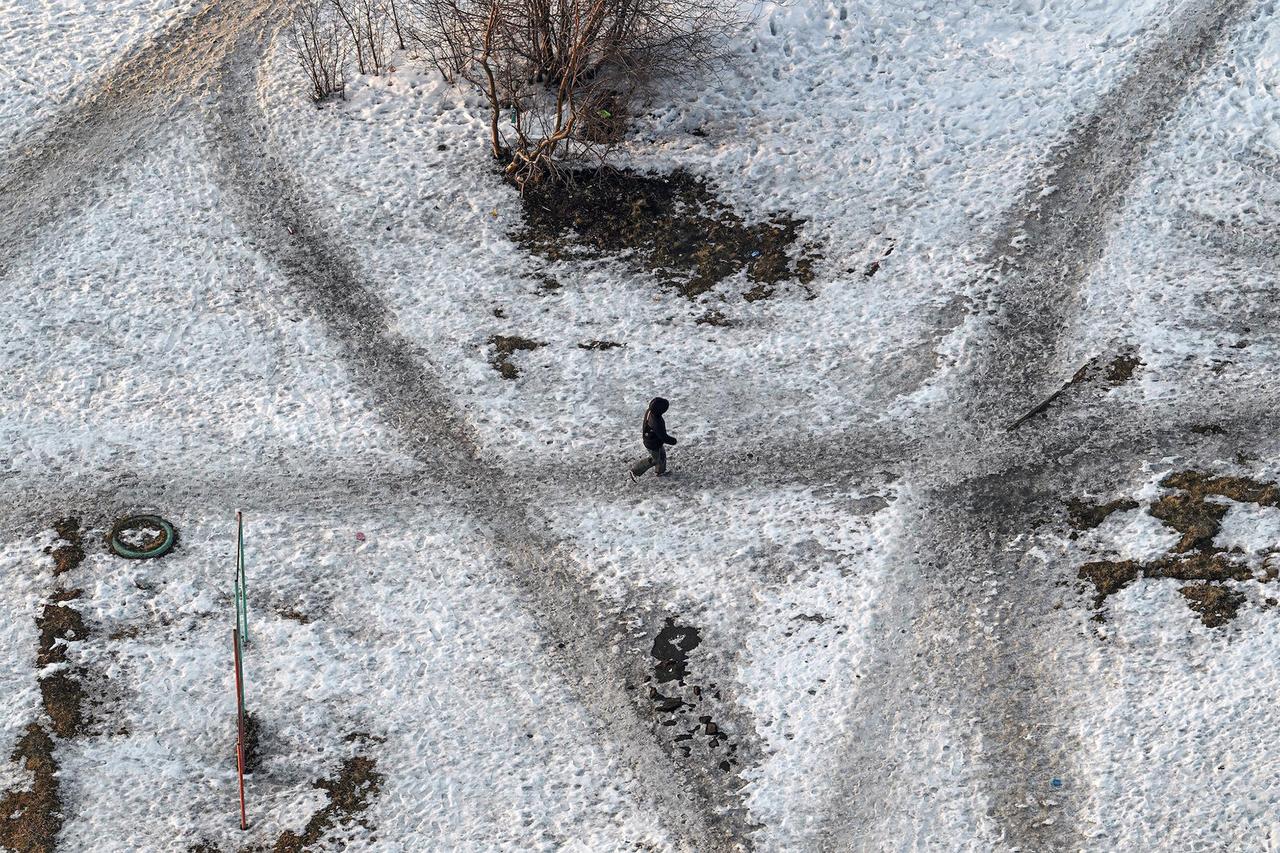 Москвичам дали прогноз по количеству клещей и комаров после аномальных снегопадов